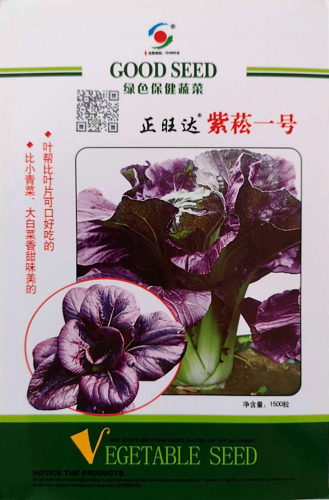 紫菘一号——紫红保健菜